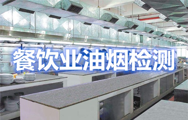 上海環(huán)境檢測咨詢服務有限公司 上海環(huán)境檢測咨詢服務有限公司