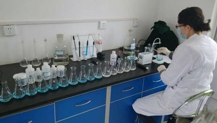 上海環境檢測咨詢服務有限公司 上海環境檢測咨詢服務有限公司