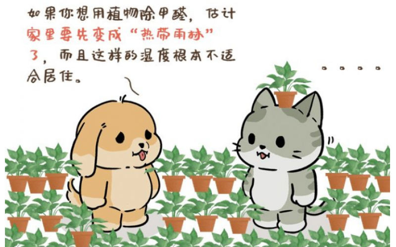 辦公室的甲醛檢測(cè)和除甲醛方法