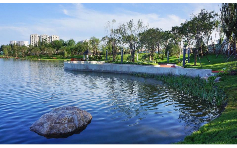 糞大腸菌群-糞大腸菌群檢測-醫療機構水污染物排放標準