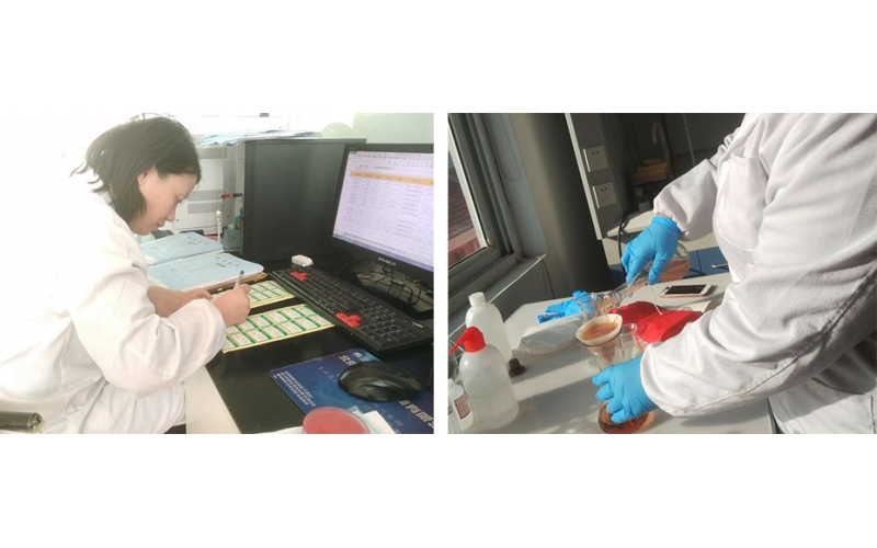 上海公共場所衛(wèi)生檢測服務機構(gòu)